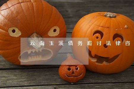 云南玉溪债务追讨法律咨询