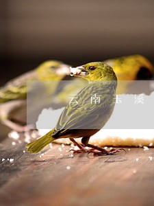 云南玉溪重大刑事案律师费怎么算 云南玉溪重大刑事案律师费怎么算
