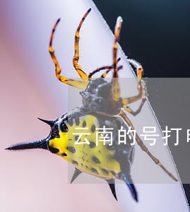 云南的号打电话说信用卡逾期 云南的号打电话说信用卡逾期