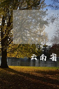 云南省人社厅政策法规处处长