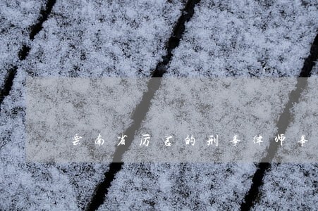 云南省厉害的刑事律师事务所