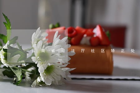 云南省司法厅社区矫正处周