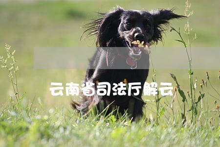 云南省司法厅解云
