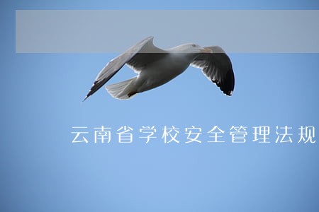 云南省学校安全管理法规