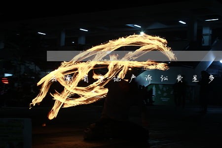 云南省房地产诉讼费是多少 云南省房地产诉讼费是多少