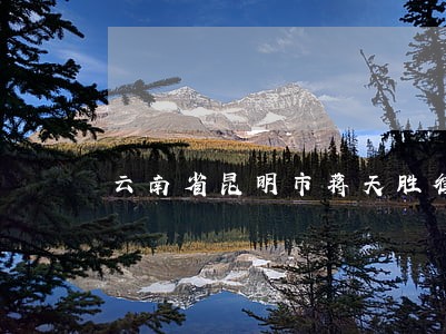 云南省昆明市蒋天胜律师 云南省昆明市蒋天胜律师