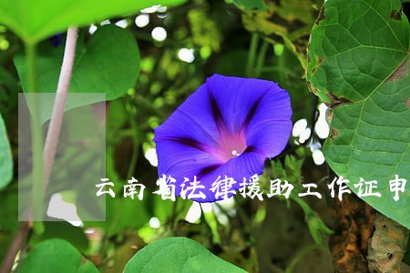 云南省法律援助工作证申请 云南省法律援助工作证申请