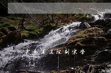 云南省法院副宗学