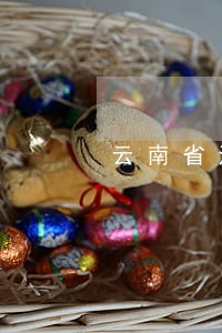 云南省法院文书网