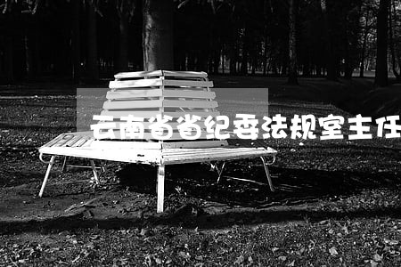 云南省省纪委法规室主任 云南省省纪委法规室主任