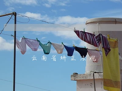 云南省矫正法规