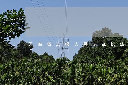 云南省高级人民法李培华 云南省高级人民法李培华