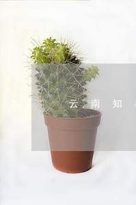 云南知名经济纠纷律师法律咨询