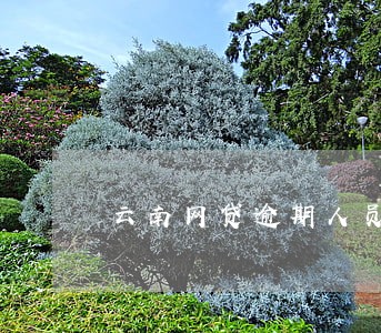 云南网贷逾期人员 云南网贷逾期人员