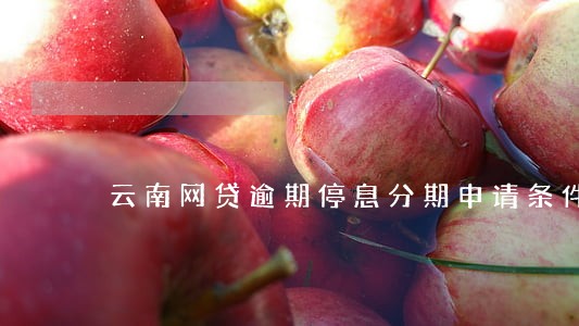 云南网贷逾期停息分期申请条件