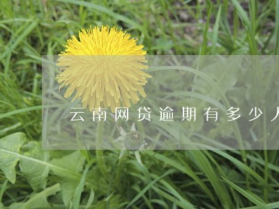 云南网贷逾期有多少人 云南网贷逾期有多少人