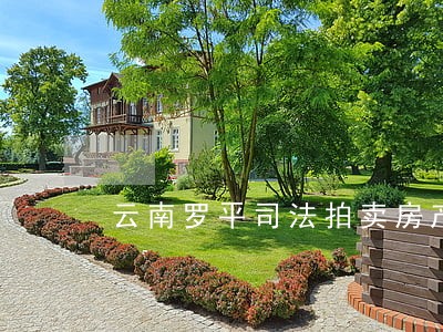 云南罗平司法拍卖房产