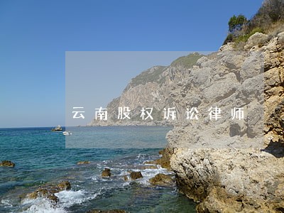 云南股权诉讼律师 云南股权诉讼律师
