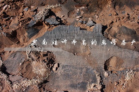 云南胜诉率高的离婚房产律师热线 云南胜诉率高的离婚房产律师热线