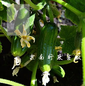云南行政复议律师咨询电话 云南行政复议律师咨询电话