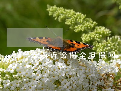 云南诉讼保全担保网 云南诉讼保全担保网