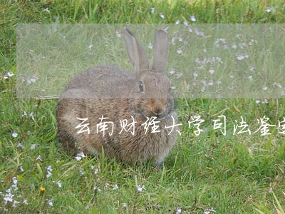 云南财经大学司法鉴定中心 云南财经大学司法鉴定中心