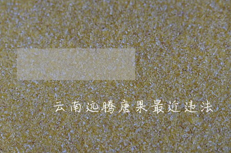 云南远腾唐果最近违法 云南远腾唐果最近违法
