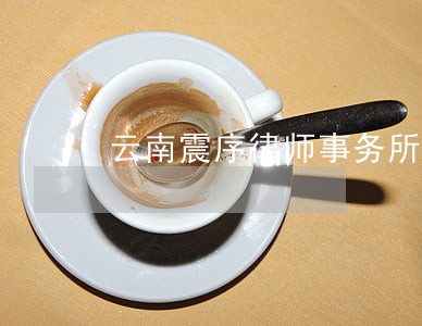 云南震序律师事务所 云南震序律师事务所