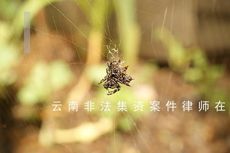 云南非法集资案件律师在线咨询 云南非法集资案件律师在线咨询