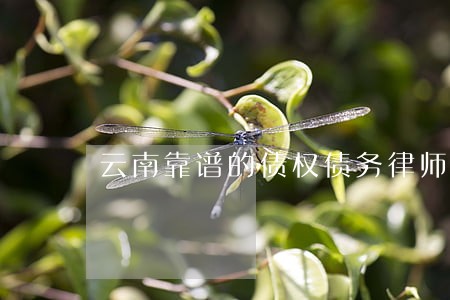 云南靠谱的债权债务律师 云南靠谱的债权债务律师