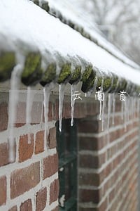 云南首例环境公益诉讼案今日二审