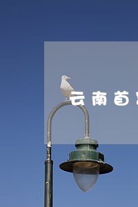 云南首富40亿债务逾期 云南首富40亿债务逾期