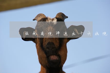 云南高院评选出十大法院新闻 云南高院评选出十大法院新闻