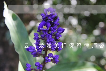 云南龙陵关押保释律师咨询电话 云南龙陵关押保释律师咨询电话