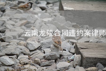 云南龙陵合同违约案律师费用咨询