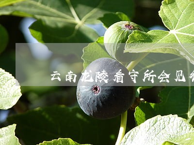 云南龙陵看守所会见律师咨询专线 云南龙陵看守所会见律师咨询专线