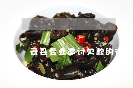 云县专业追讨欠款的律师 云县专业追讨欠款的律师