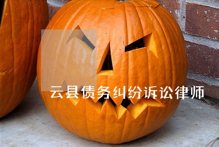 云县债务纠纷诉讼律师 云县债务纠纷诉讼律师