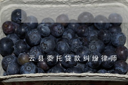 云县委托贷款纠纷律师 云县委托贷款纠纷律师