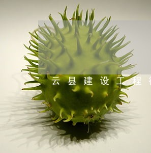 云县建设工程律师电话 云县建设工程律师电话
