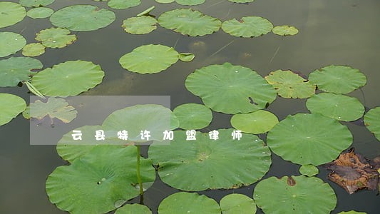 云县特许加盟律师 云县特许加盟律师