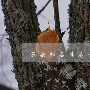 云县知名债务纠纷诉讼律师