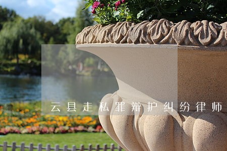 云县走私罪辩护纠纷律师 云县走私罪辩护纠纷律师
