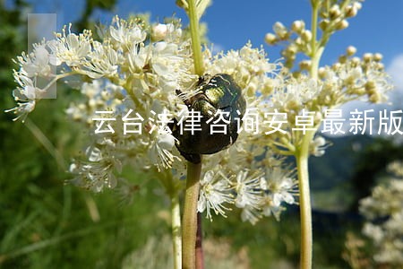 云台法律咨询安卓最新版 云台法律咨询安卓最新版