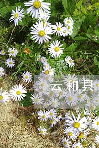 云和县个人独资律师在线免费咨询 云和县个人独资律师在线免费咨询
