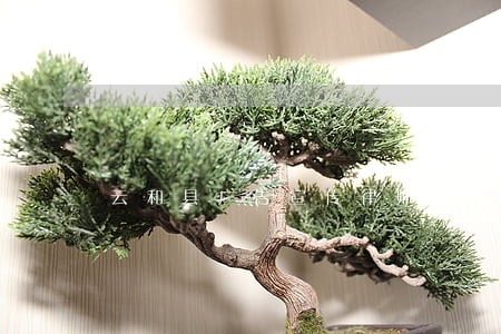 云和县广告宣传律师咨询电话 云和县广告宣传律师咨询电话