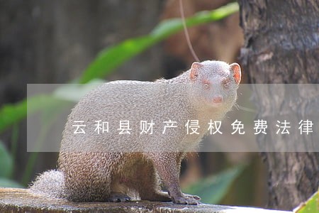 云和县财产侵权免费法律咨询热线 云和县财产侵权免费法律咨询热线