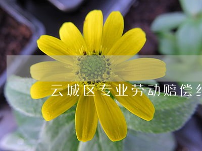 云城区专业劳动赔偿纠纷律师 云城区专业劳动赔偿纠纷律师