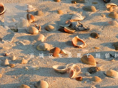 云城区专业死亡赔偿纠纷律师 云城区专业死亡赔偿纠纷律师