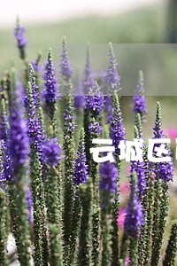云城区医疗纠纷律师在线免费咨询